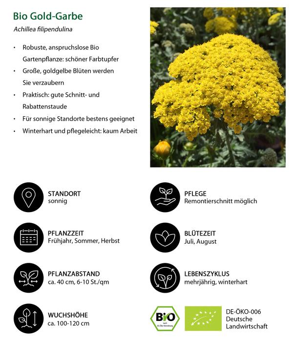 Bio Stauden-Set Es wird durchgeblüht,