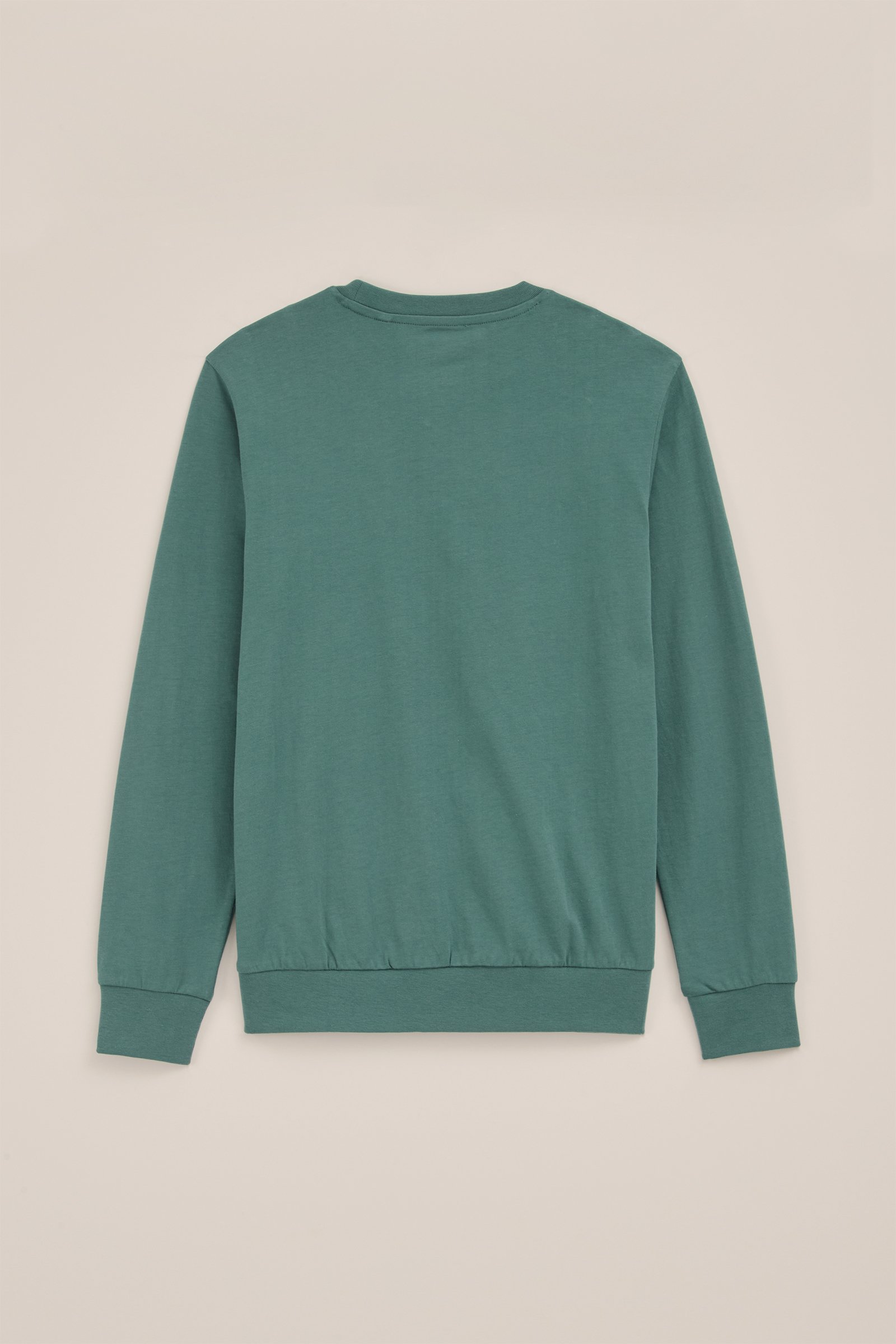 Jongens T-shirt met opdruk WE Fashion Zeegroen