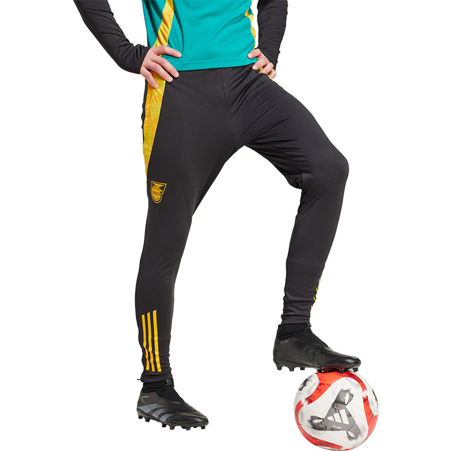 adidas Jamaica Training Pant