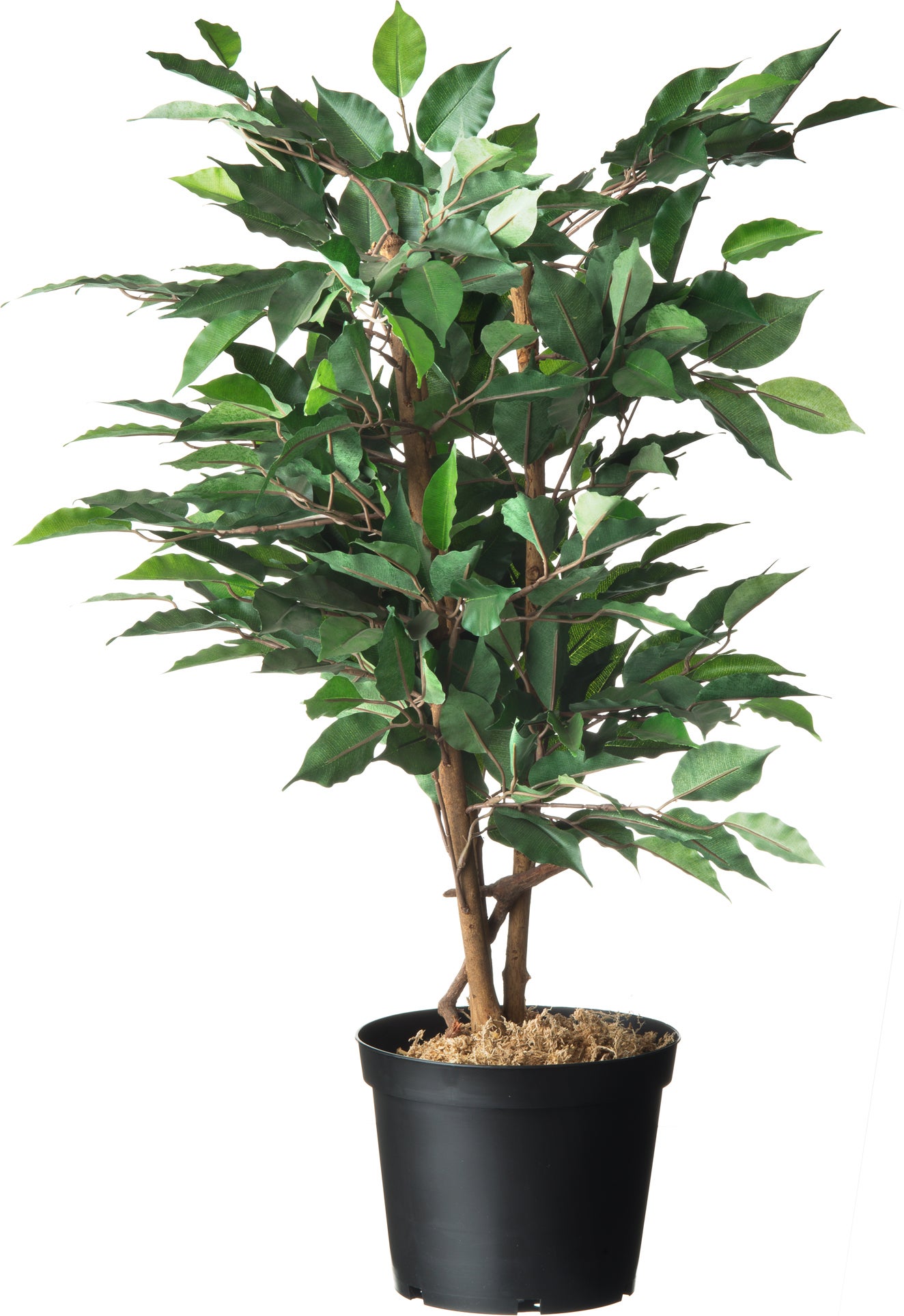 Plantcontainer 7,5 L D 26 cm zwart