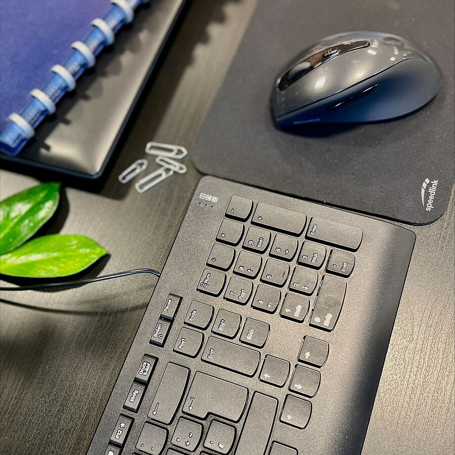 SPEEDLINK HI-GENIC Antibacterial Keyboard, black - DE Layout