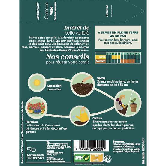 Cosmos nain Vega couleur variée : en sachet