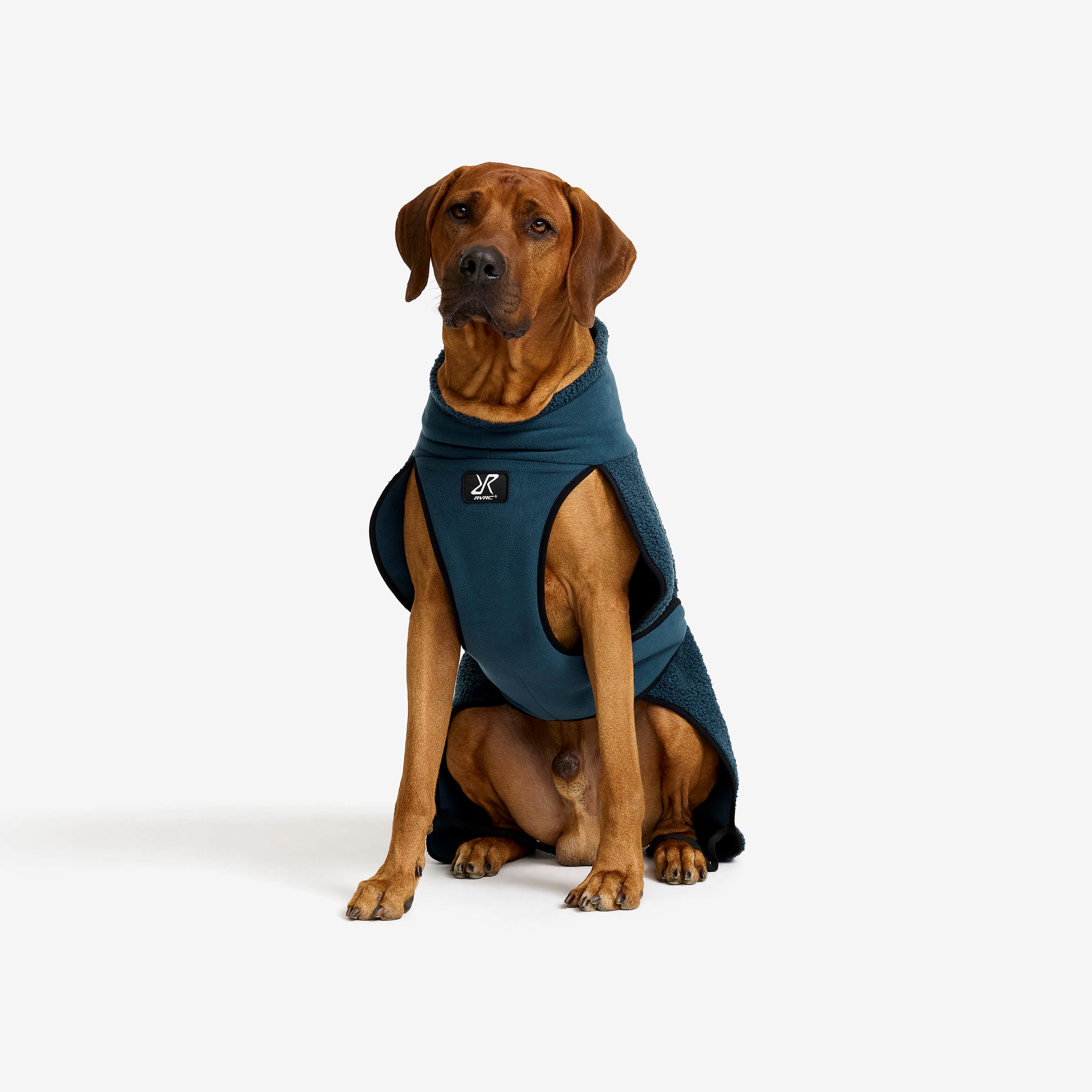 Bigfoot Dog Jacket Hund Moonlit Ocean