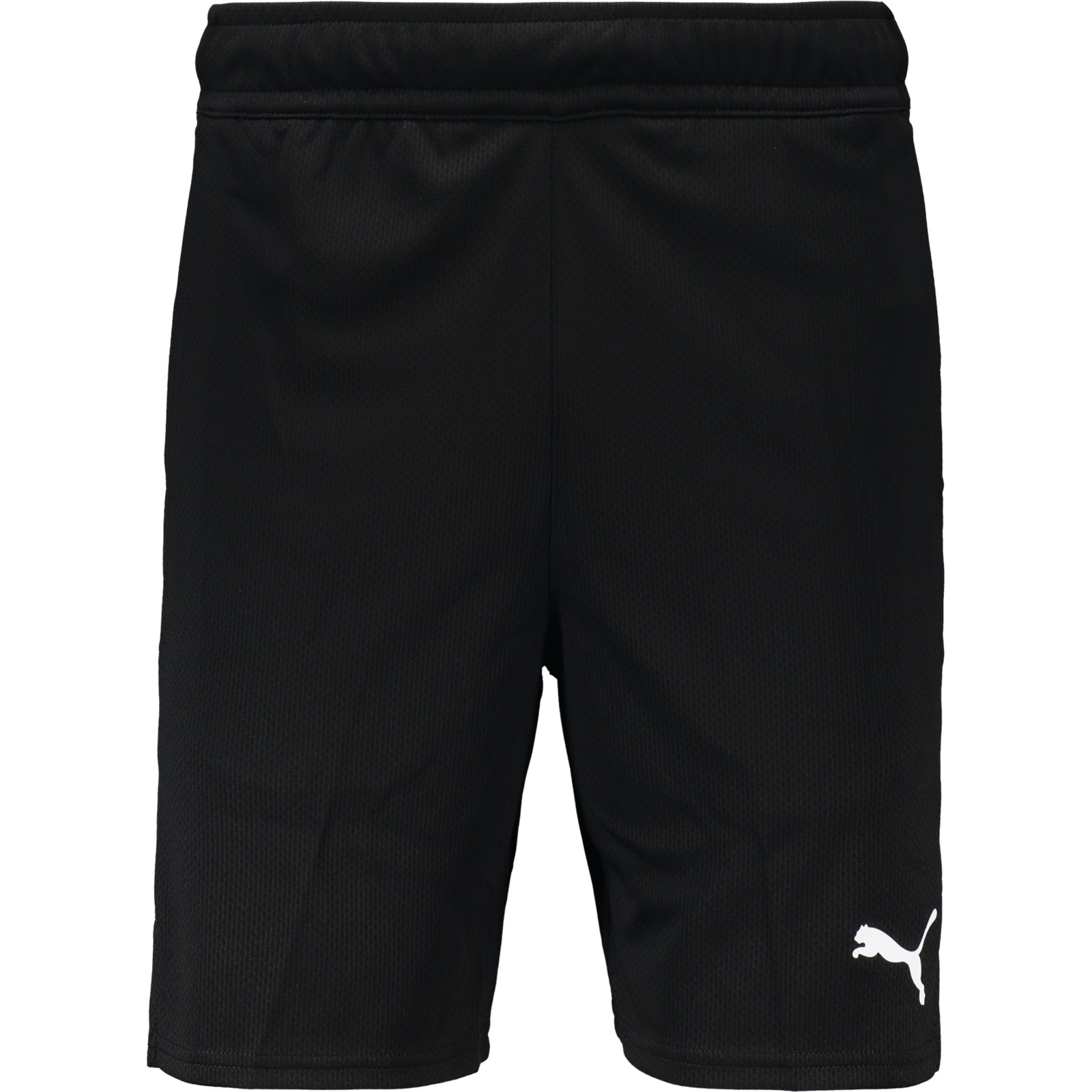 Puma Fit 7