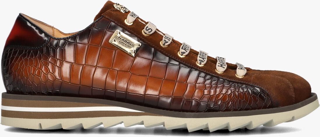 bruine harris lage sneakers 2892