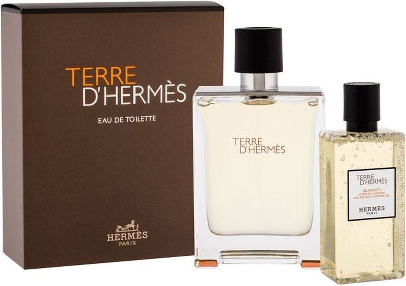 Hermes - Terre D'Hermes - Geschenkset - 100 ml EDP - 30 ml Navulbaar