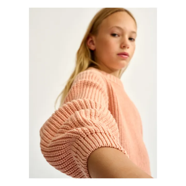 Bellerose Pull Gelio | Rose pâle