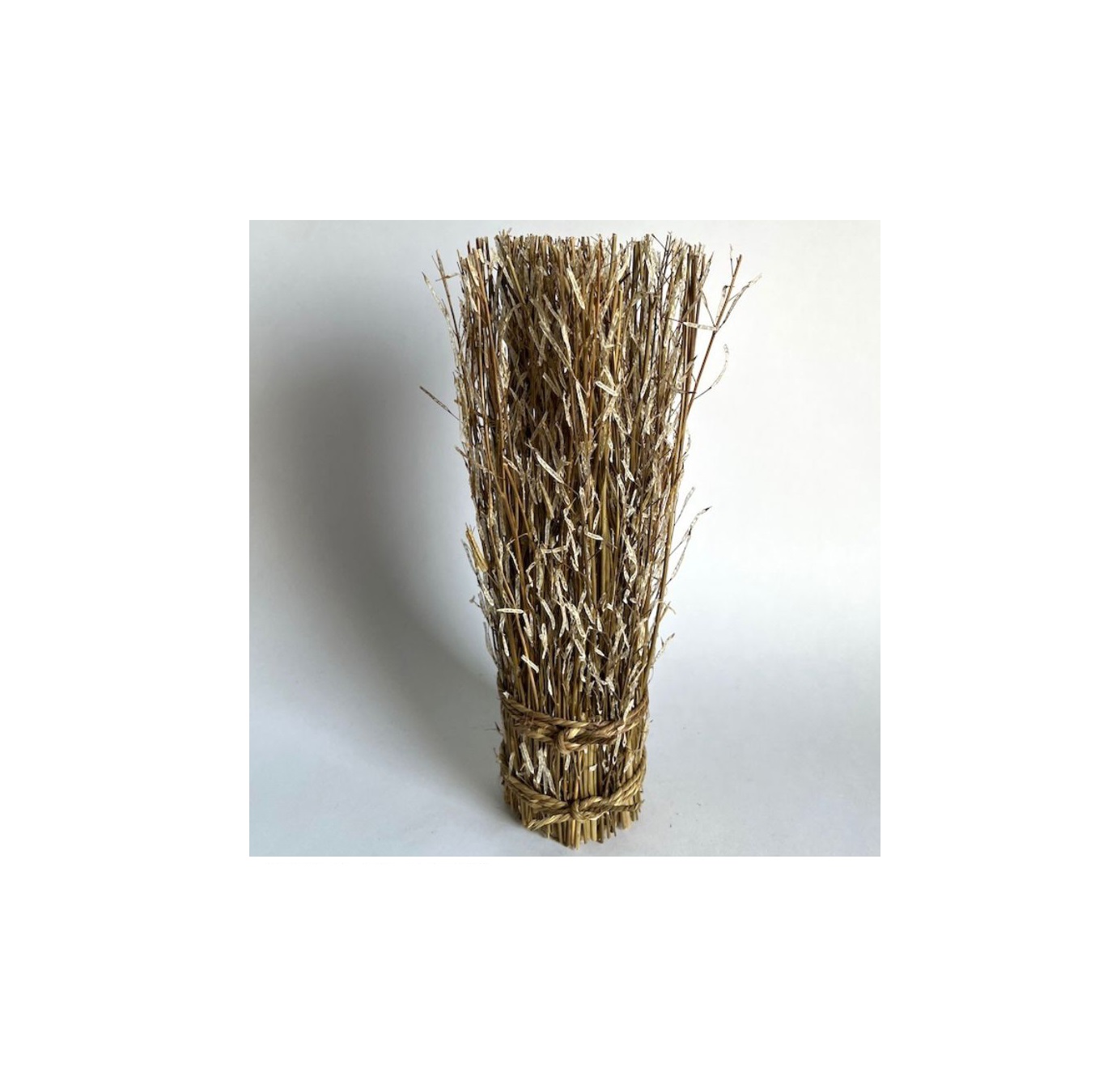 Garbe echtes Senfgras, H 40 cm, Ø 9 cm von fischer's lagerhaus