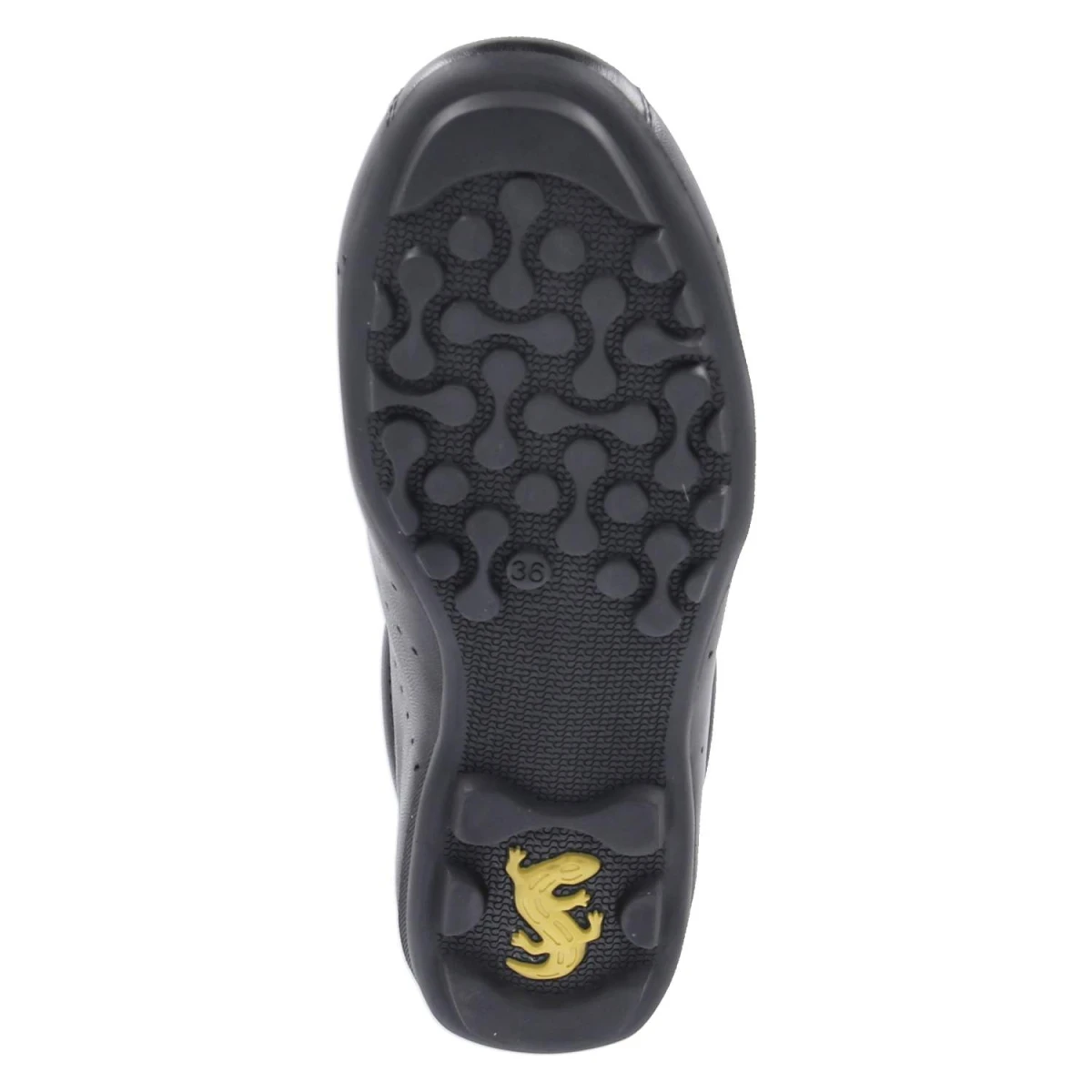 SalamanderLow Sneaker - black / white