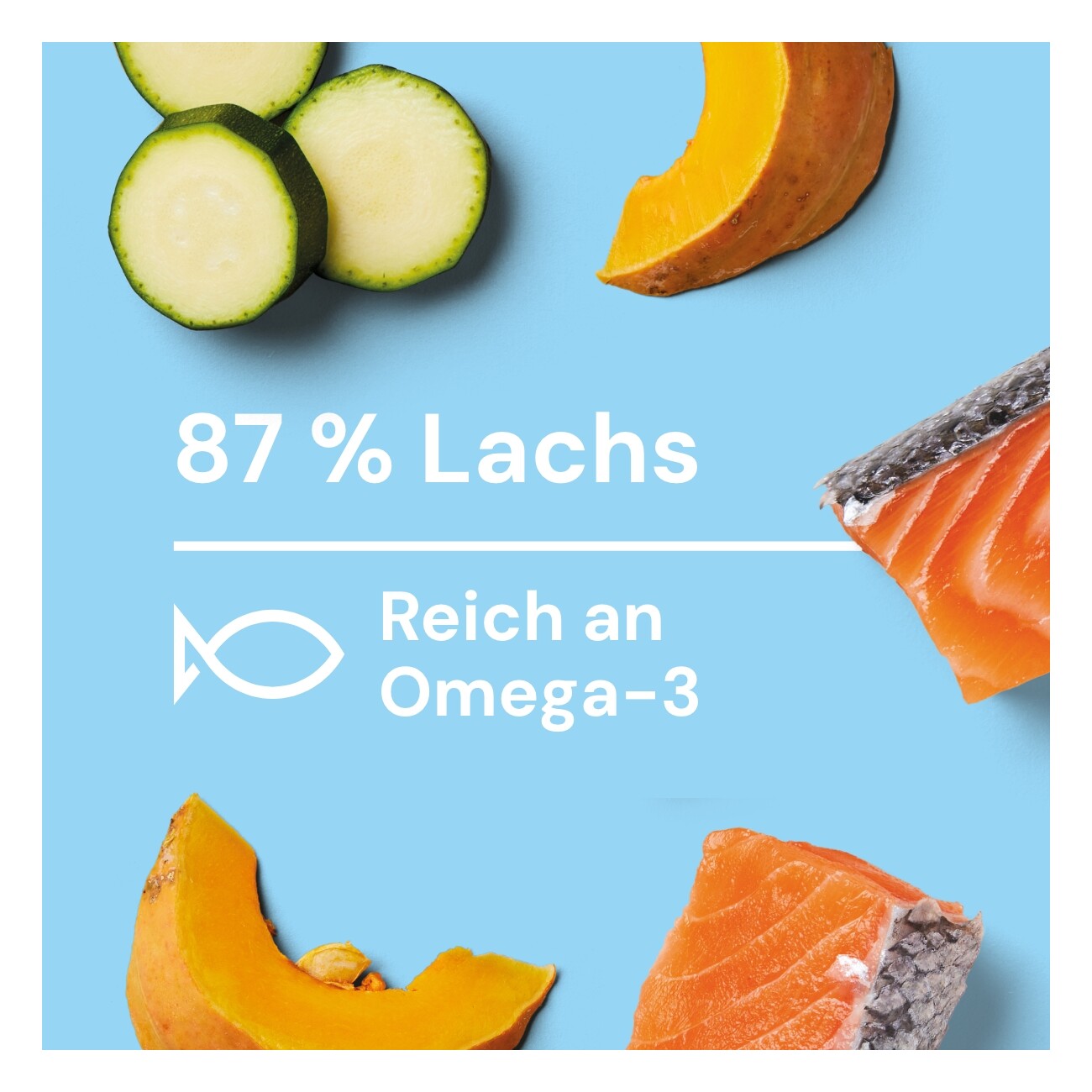 Nutriment Medaillons Lachs, Kürbis & Zucchini 8x800 g