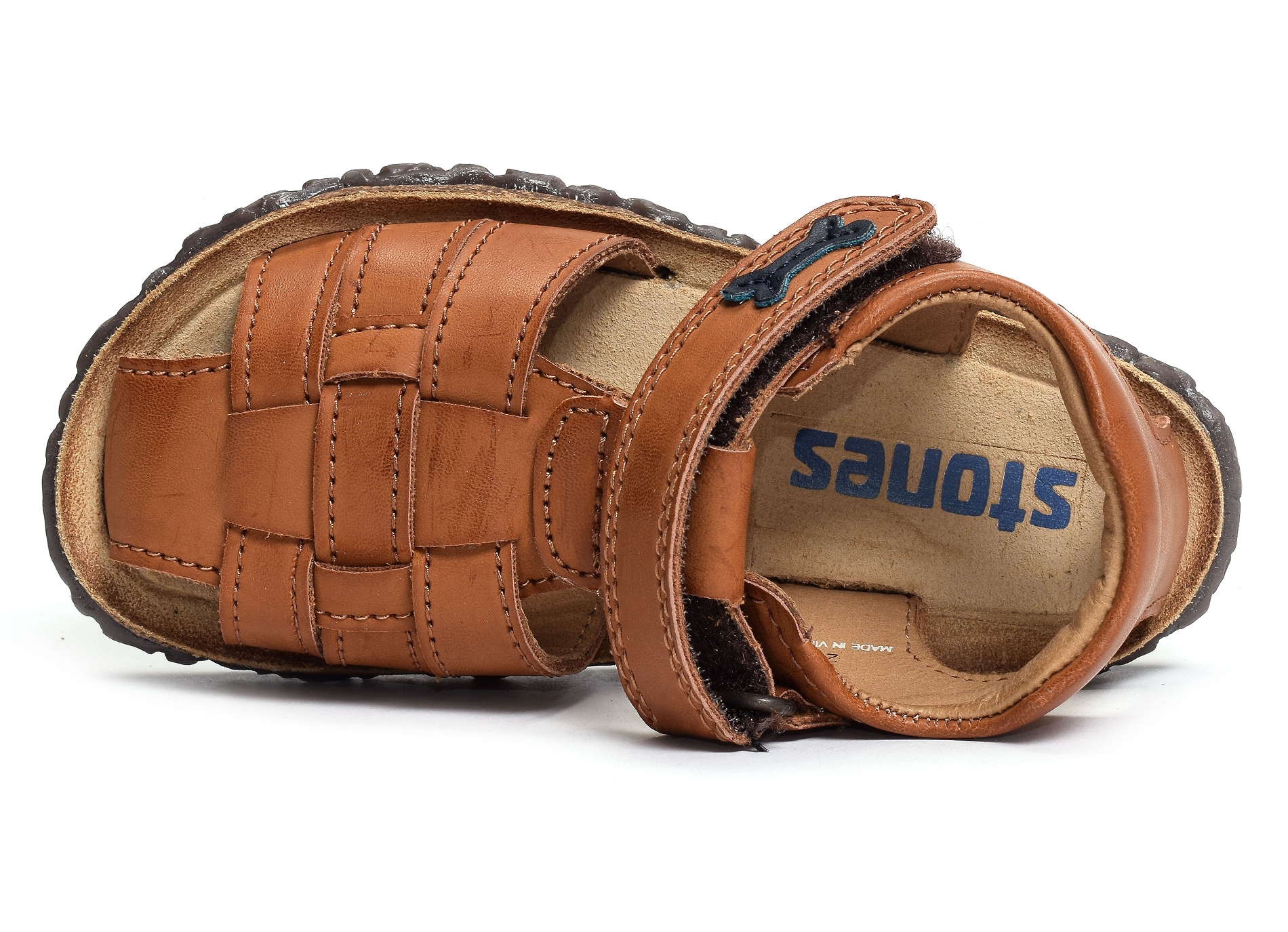 Raxi camel