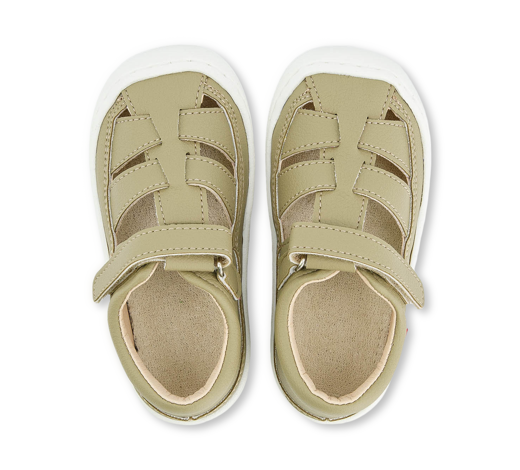 Pololo Verano