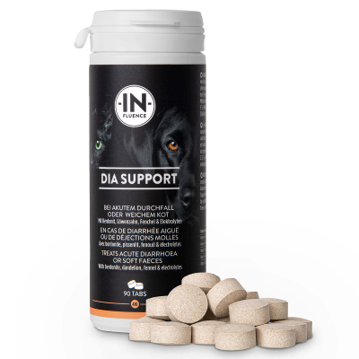 In-Fluence Kautabletten Dia Support für Hunde & Katzen 90Tabs