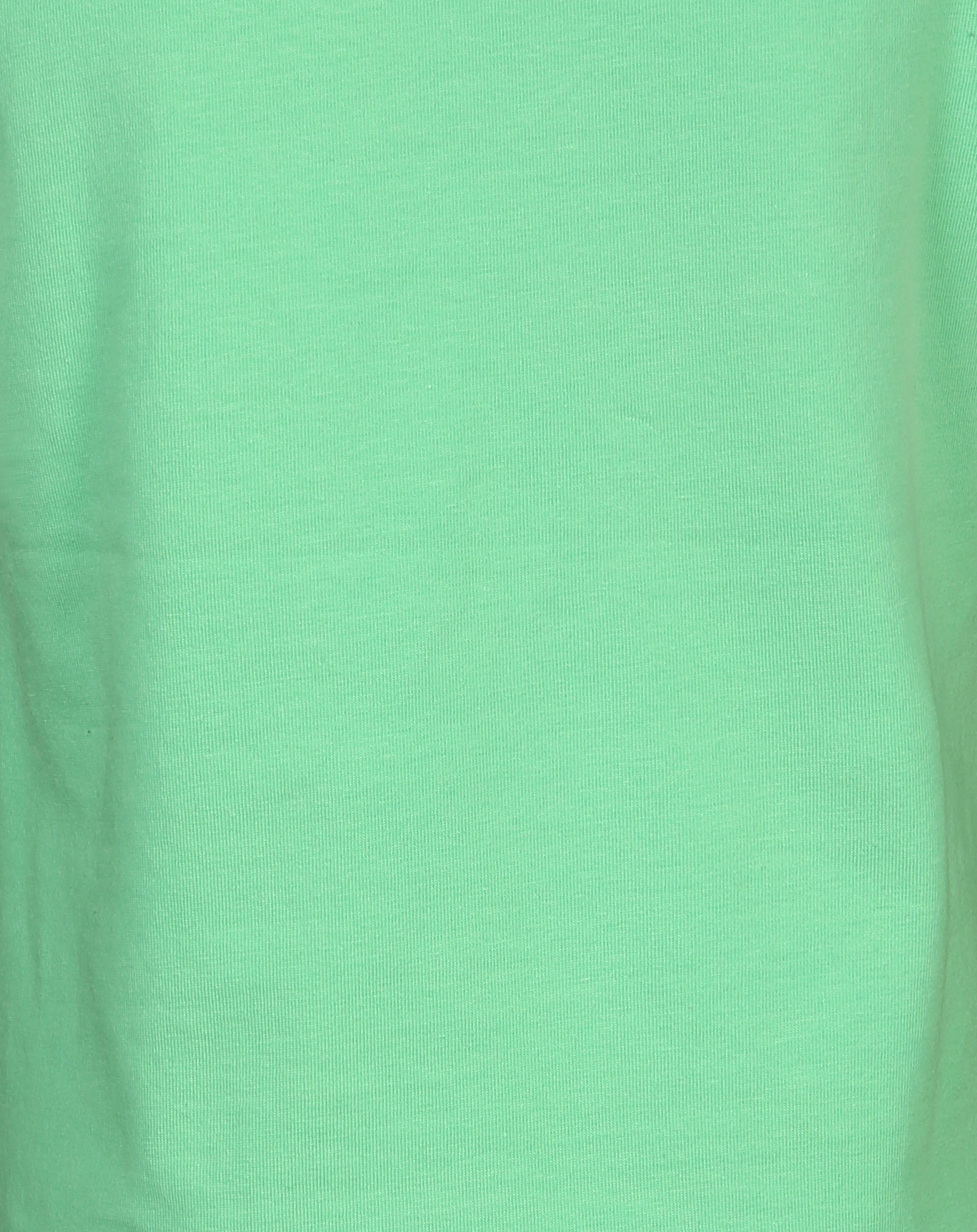 T-Shirt KOLIBRI in grün