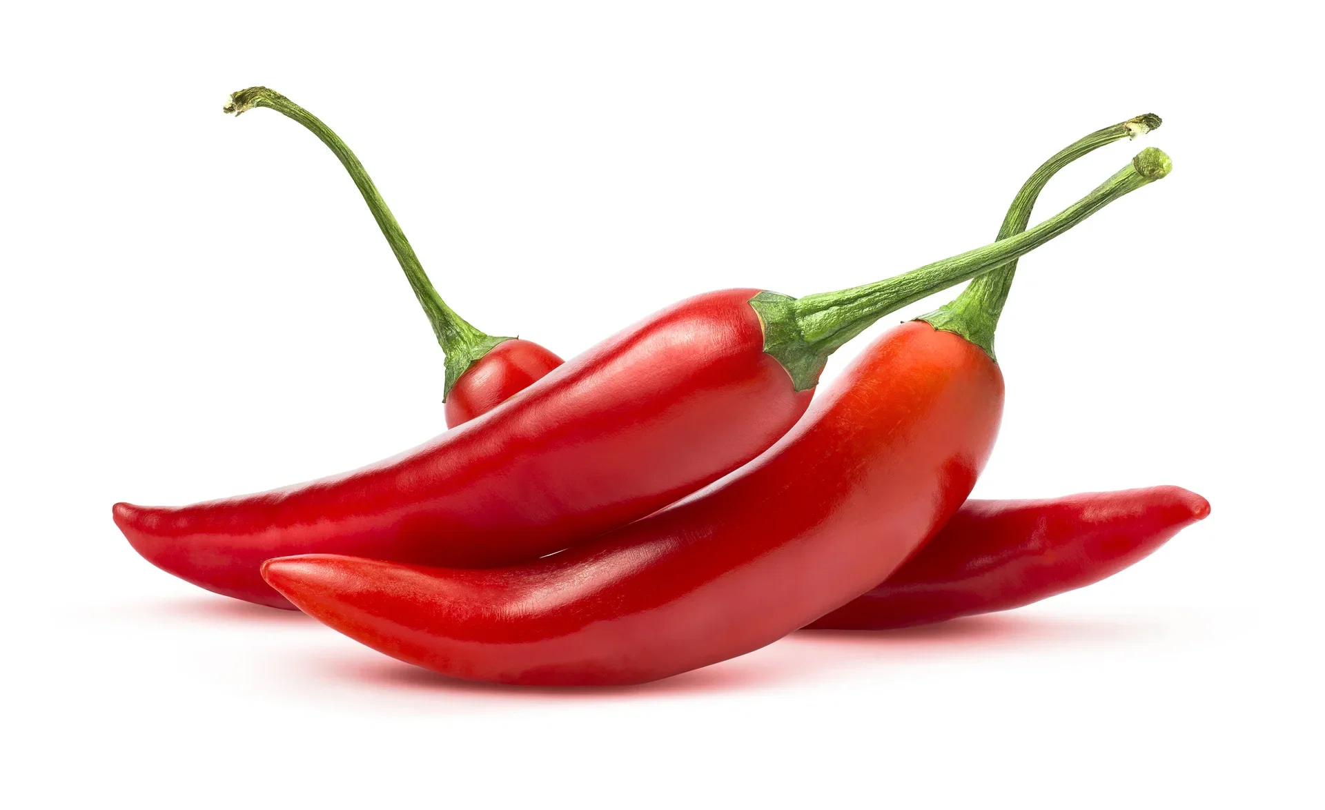 All Nature Capsicum Chili 'Apache' 10,5 cm Chili 'Apache' Ø10,5 cm