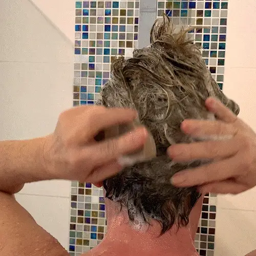 Shampoing solide cheveux gras à l'huile de sésame - Version 2 - 1 shampoing - 70g