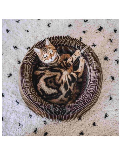 District 70 Maze - Kattenspeelgoed - 50 x 50 x 18 cm Bruin