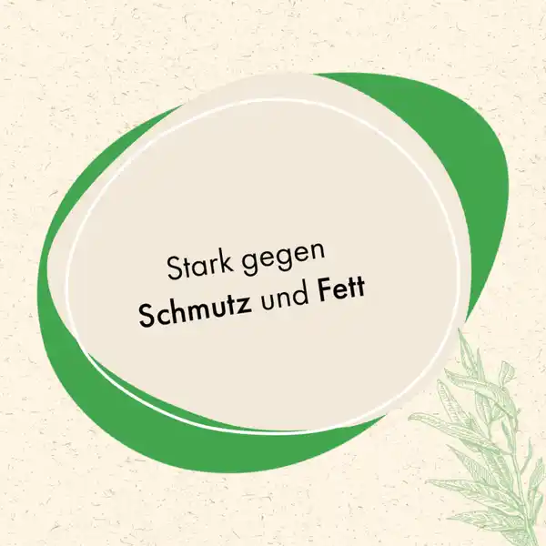 Spülmittel Grapefruit Eukalyptus