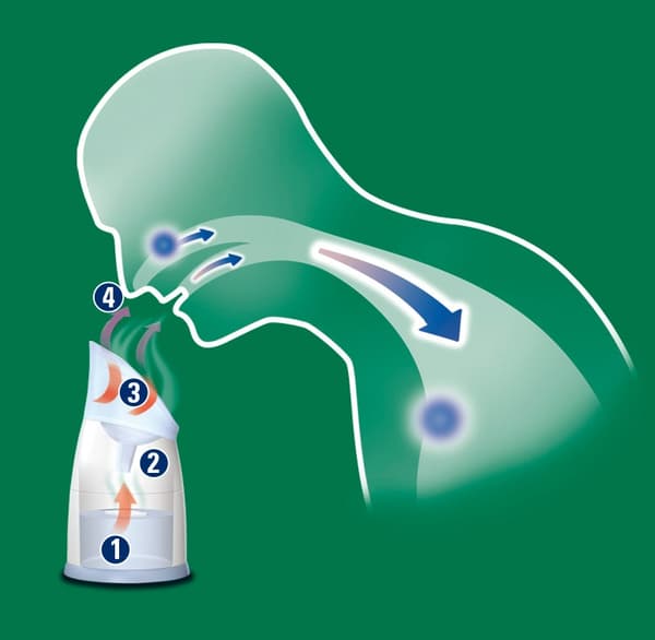 Vicks Dampinhalator V1300