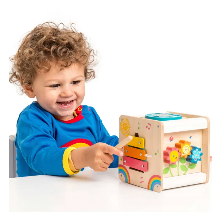 Le Toy Van Petit cube d'activités