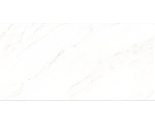 Porseleinen wand- en vloertegel Premium Calacatta wit 60 x 120 x 0,9 cm glanzend gerectificeerd