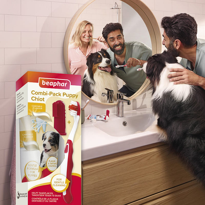 Beaphar Combi-Pack Puppy Tandpasta & Borstel | 13796