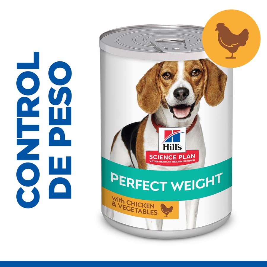 Ração úmida Hill's Adult Perfect Weight com frango e vegetais para cães.