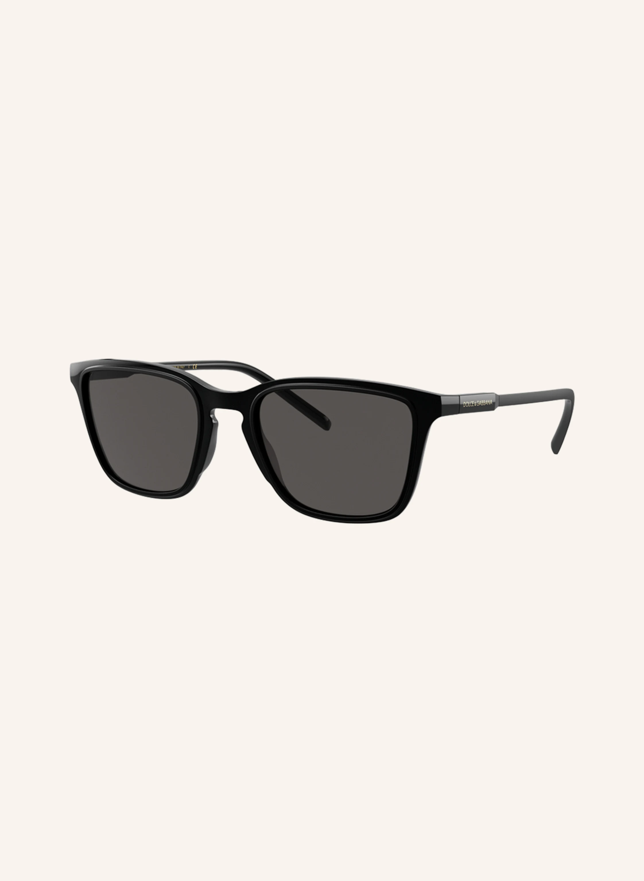 DOLCE & GABBANA Sonnenbrille DG6145