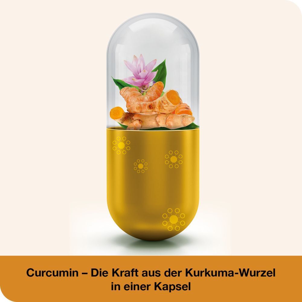 curcumin-Loges®