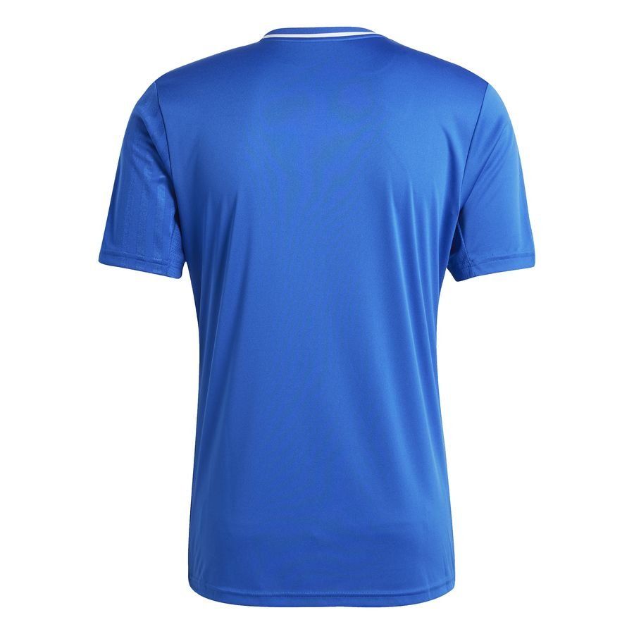 adidas Maillot Campeon 25 - Bleu/Blanc