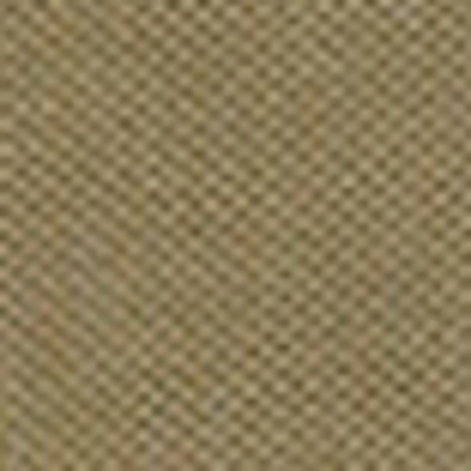 Poloshirt Piqué regular aus Bio-Baumwolle mit Elasthan