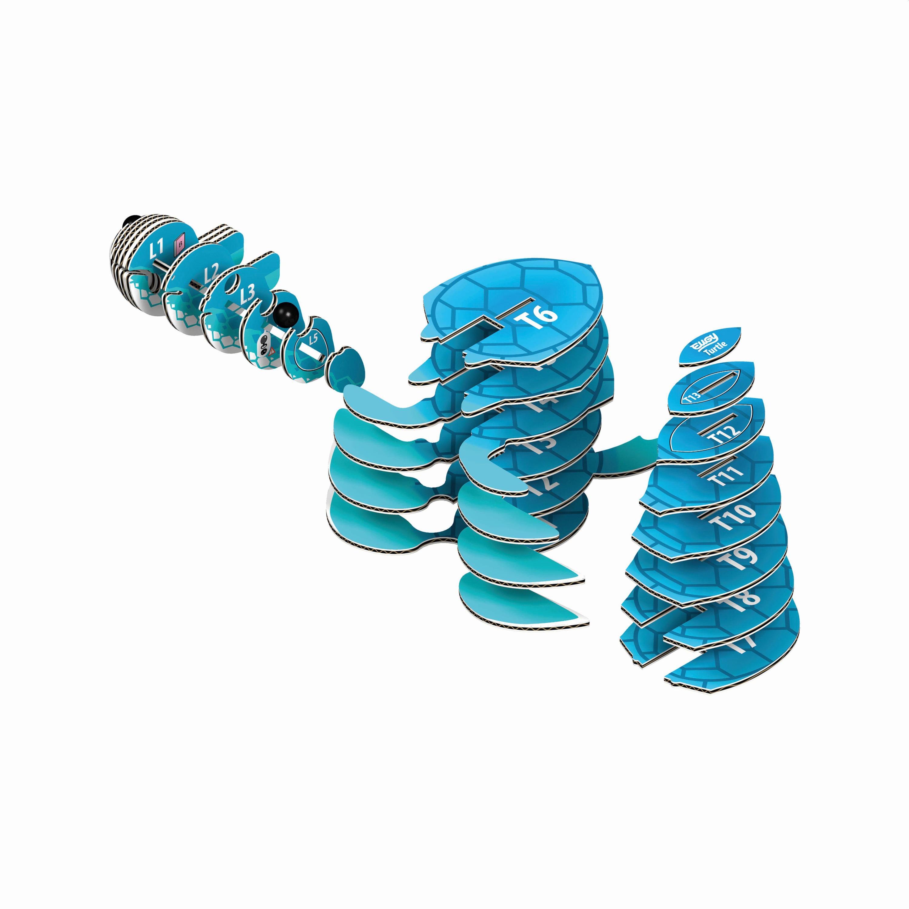 3D Bastelset Schildkröte