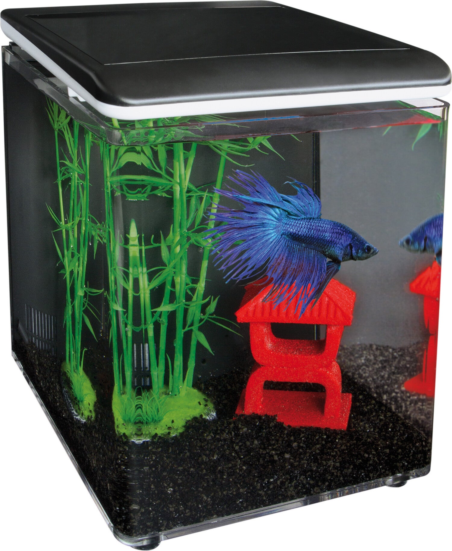 SuperFish aquarium Home 8 zwart 8 L