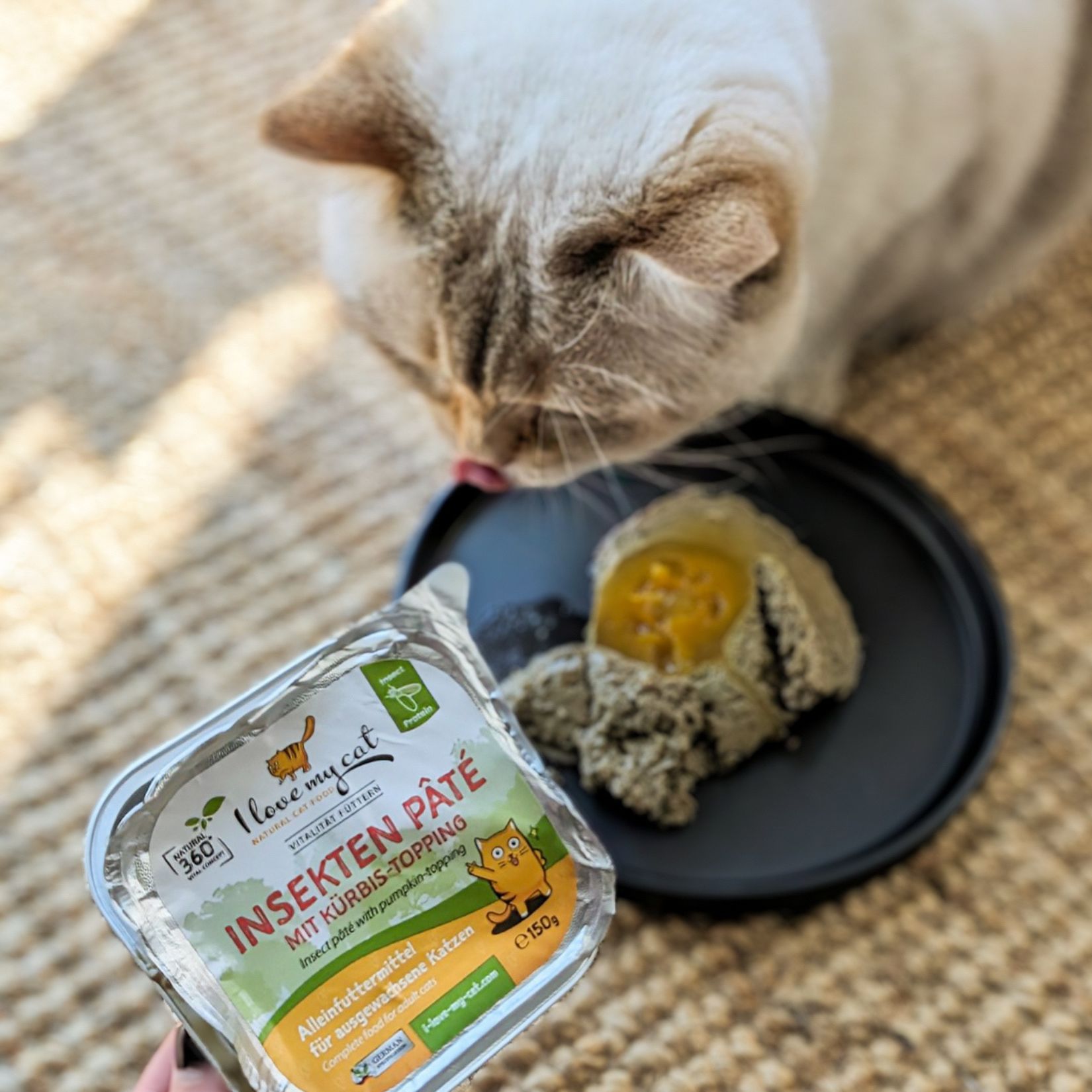 Insekten Pate mit Kürbis-topping I love my cat