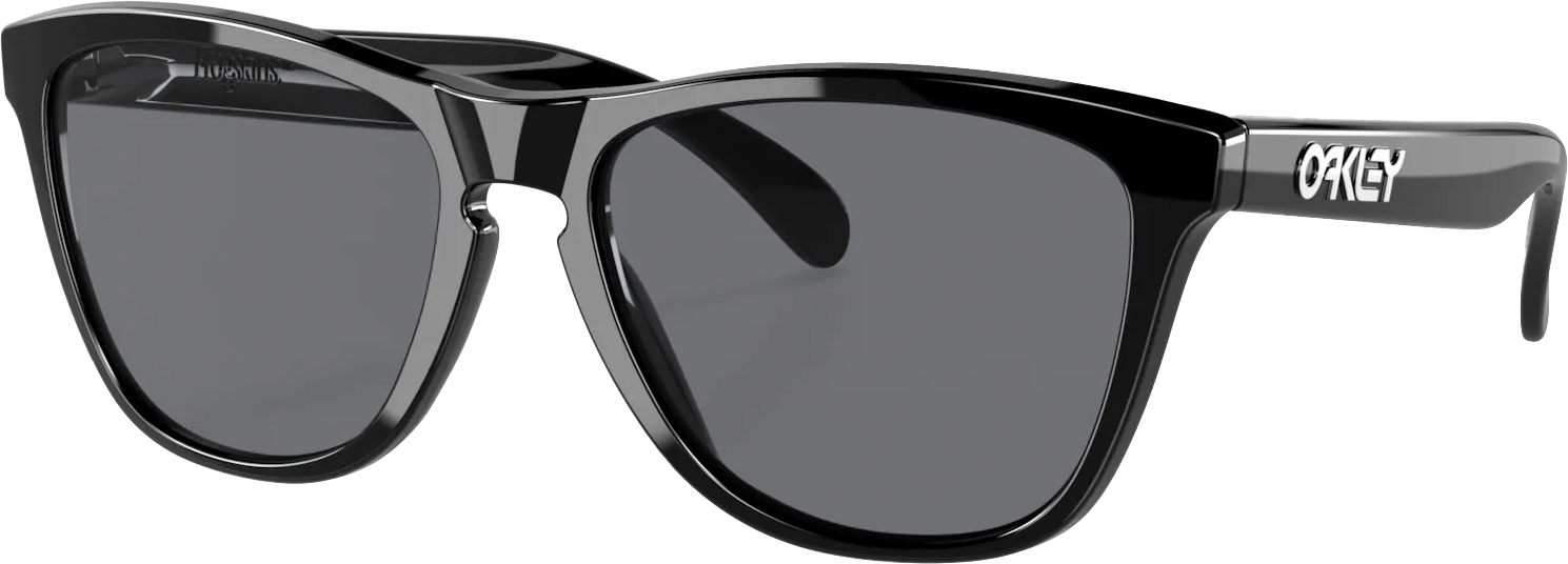Frogskins 306/Polished Black/Grey