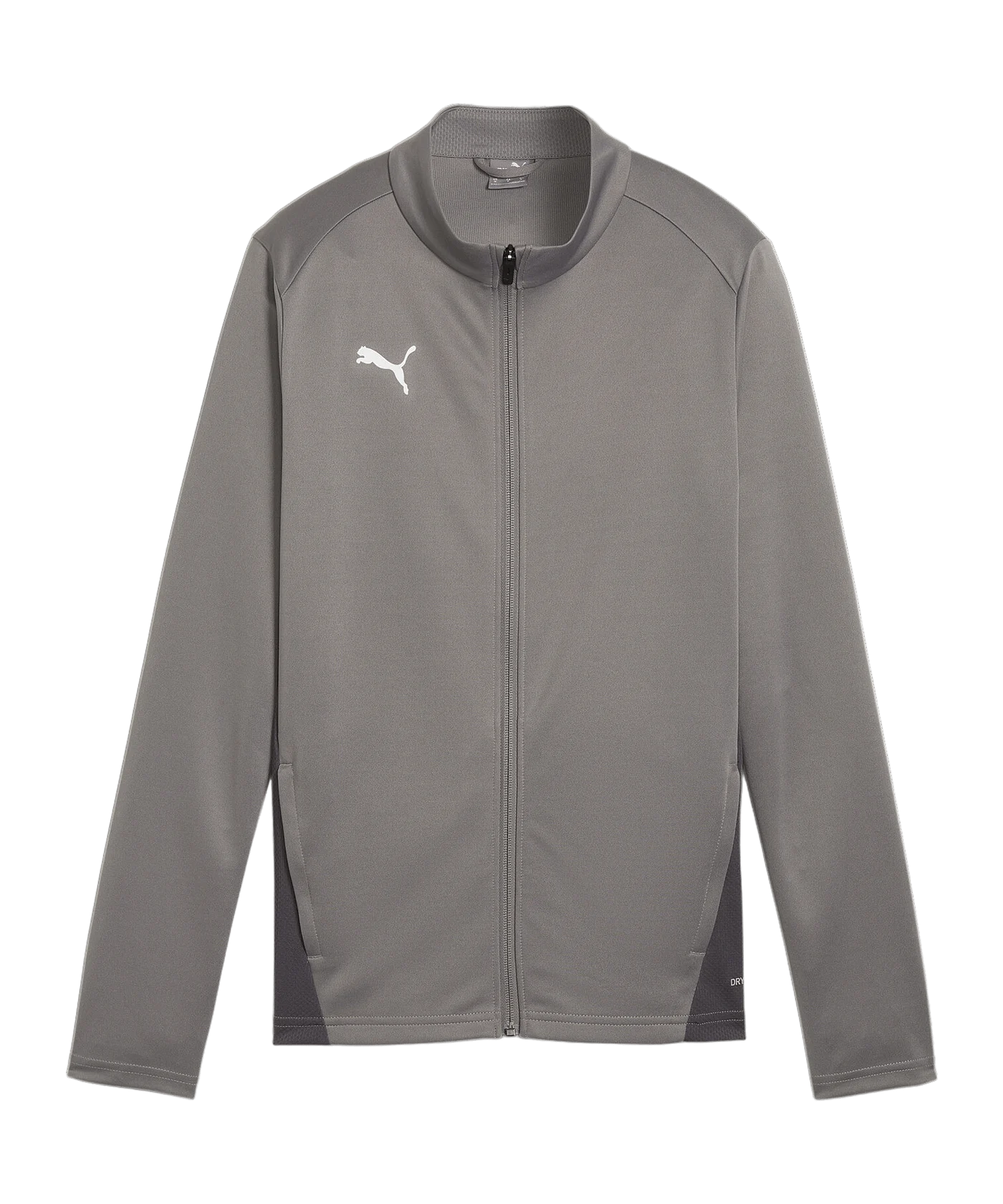 PUMA teamGOAL Trainingsjacke Damen Grau F13