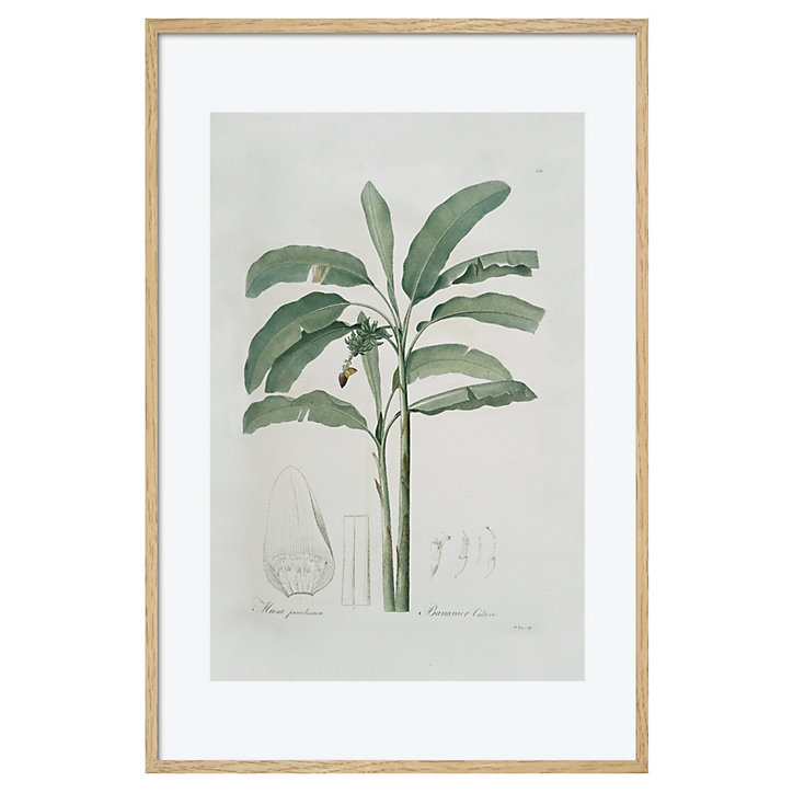 Toile imprimée planche hirondelle l.60 x H.90 cm