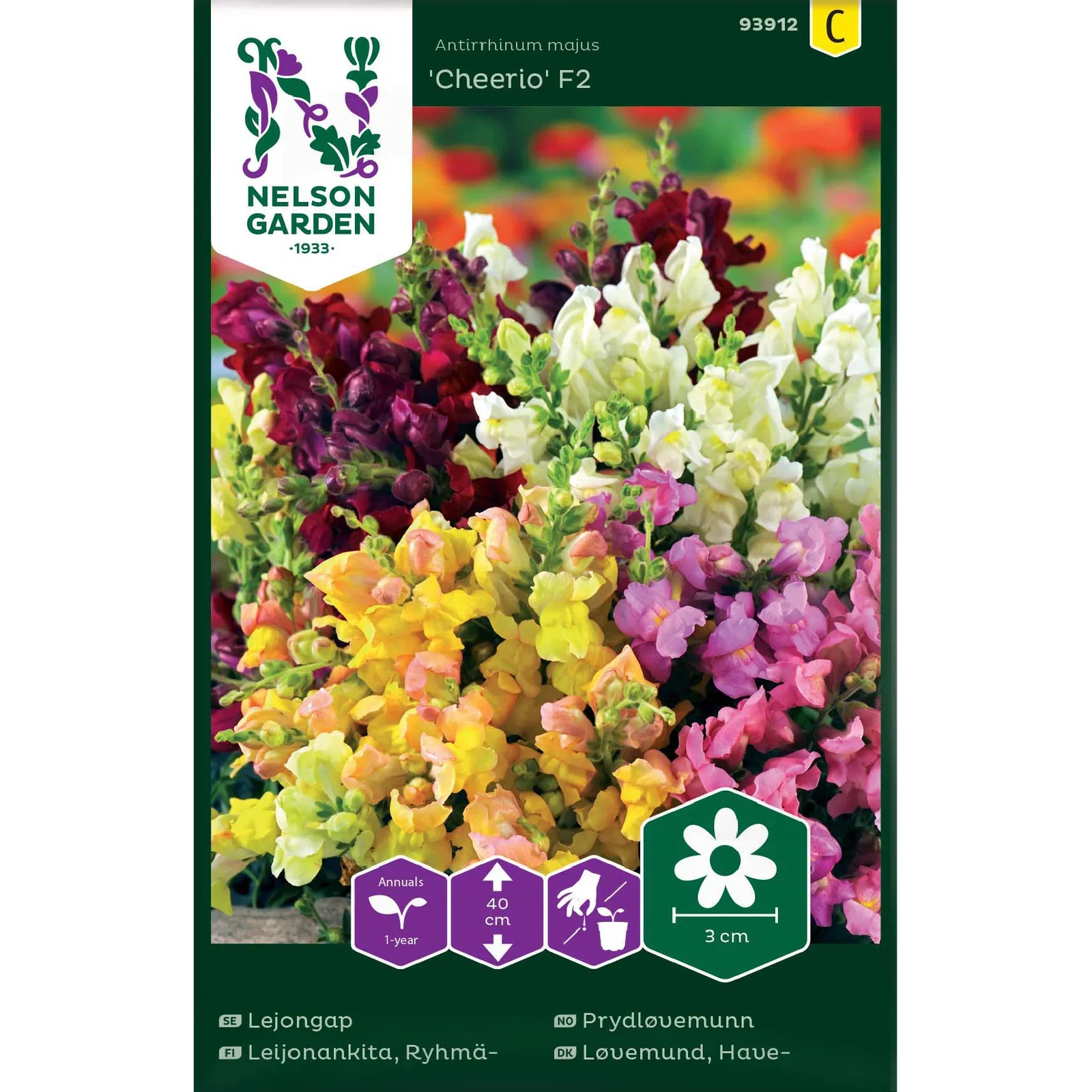 Antirrhinum majus 'Cheerio' Prydløvemunn 'Cheerio' F2