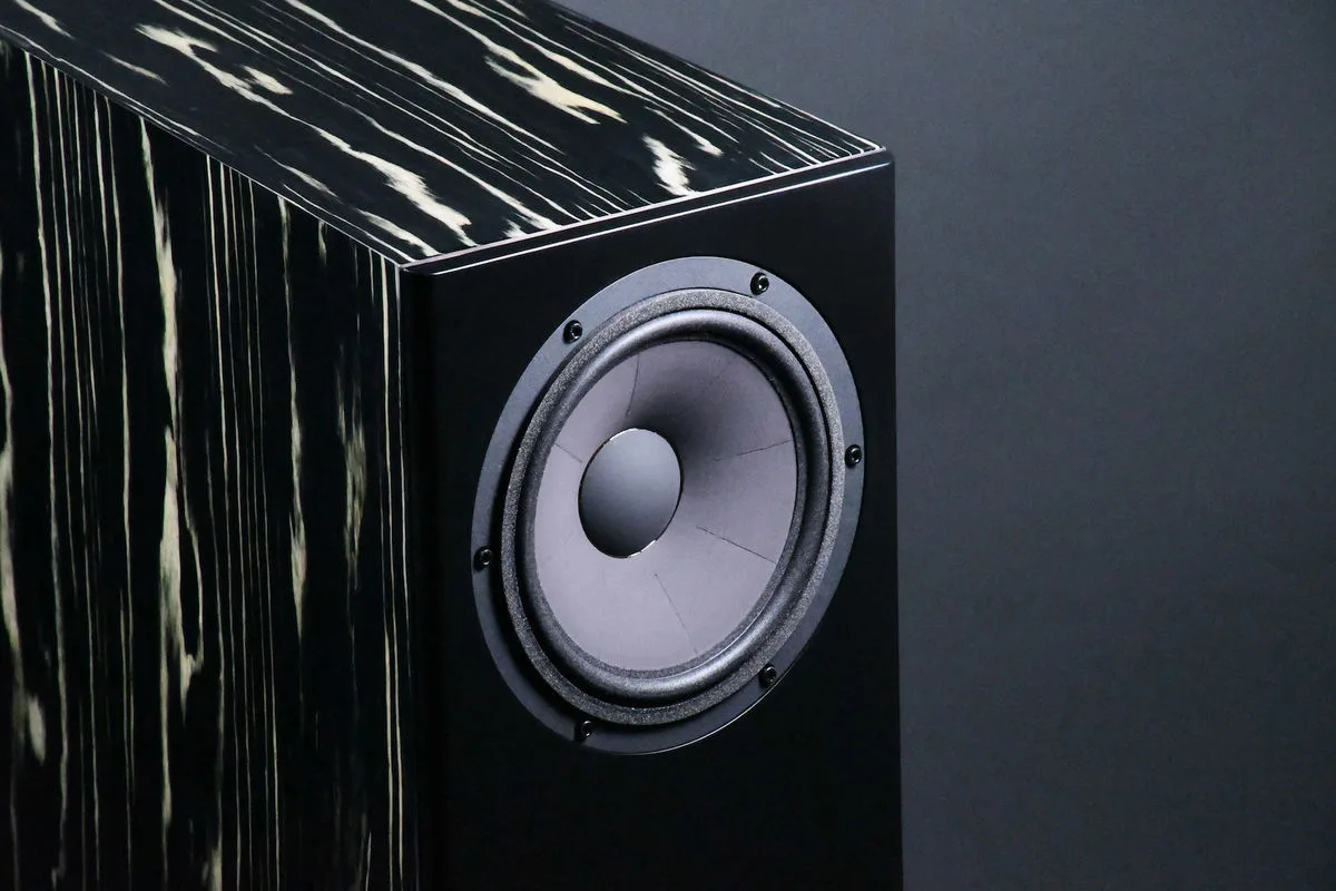 Davis Acoustics MV One Master Ébène laqué (la paire) Enceintes colonne