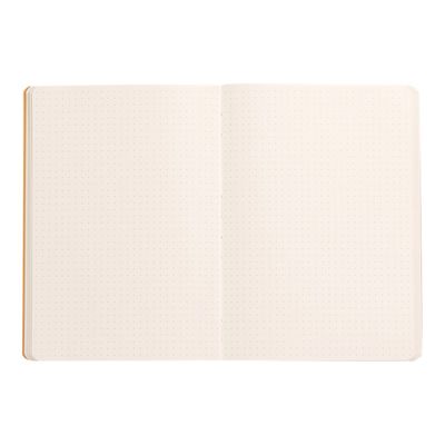 RHODIA Rhodiarama - Carnet souple A5 - 160 pages - pointillés - sauge