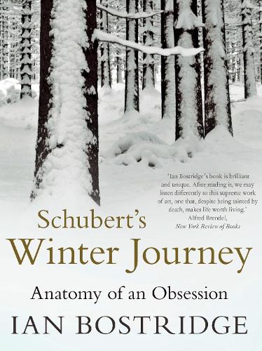 Schubert's Winter Journey: Anatomy of an Obsession (Paperback)