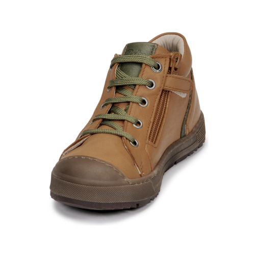 Aster - BARNA - Camel