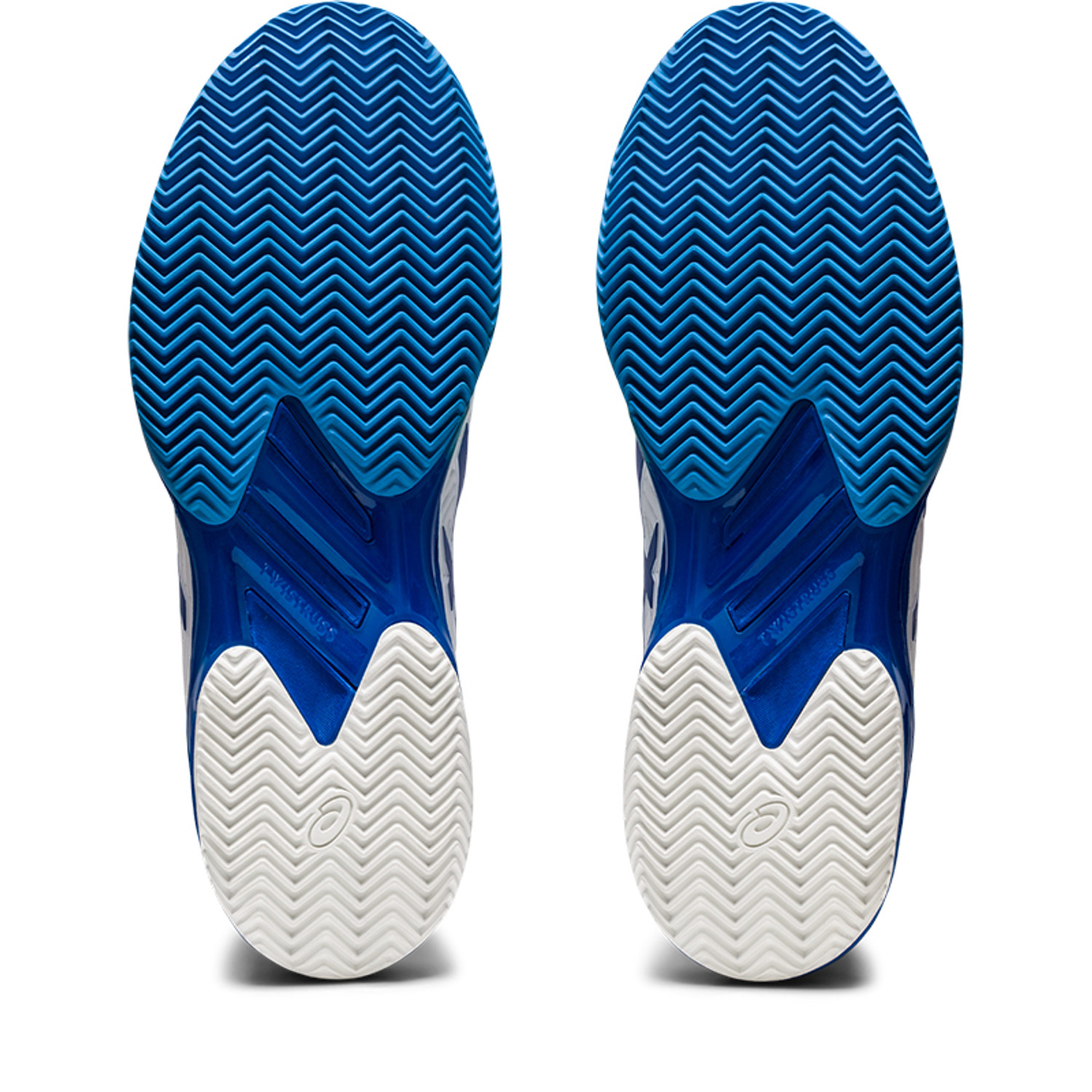 ASICS Solution Speed FF 2 Clay Heren