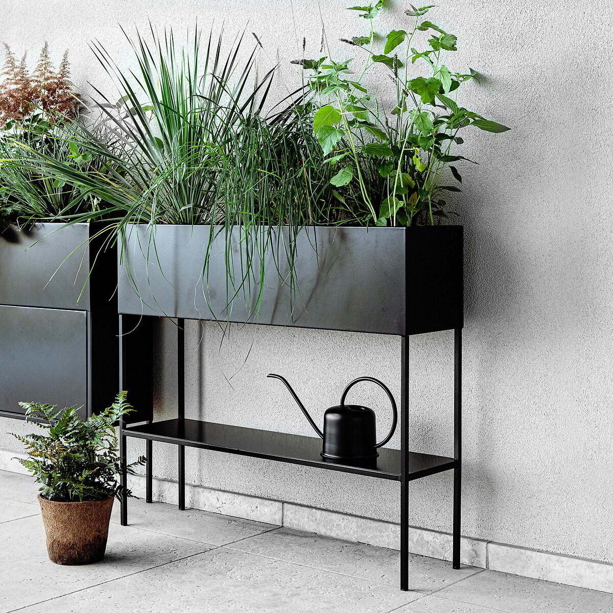 AM.PM<br>Planteira de ferro, Consuela