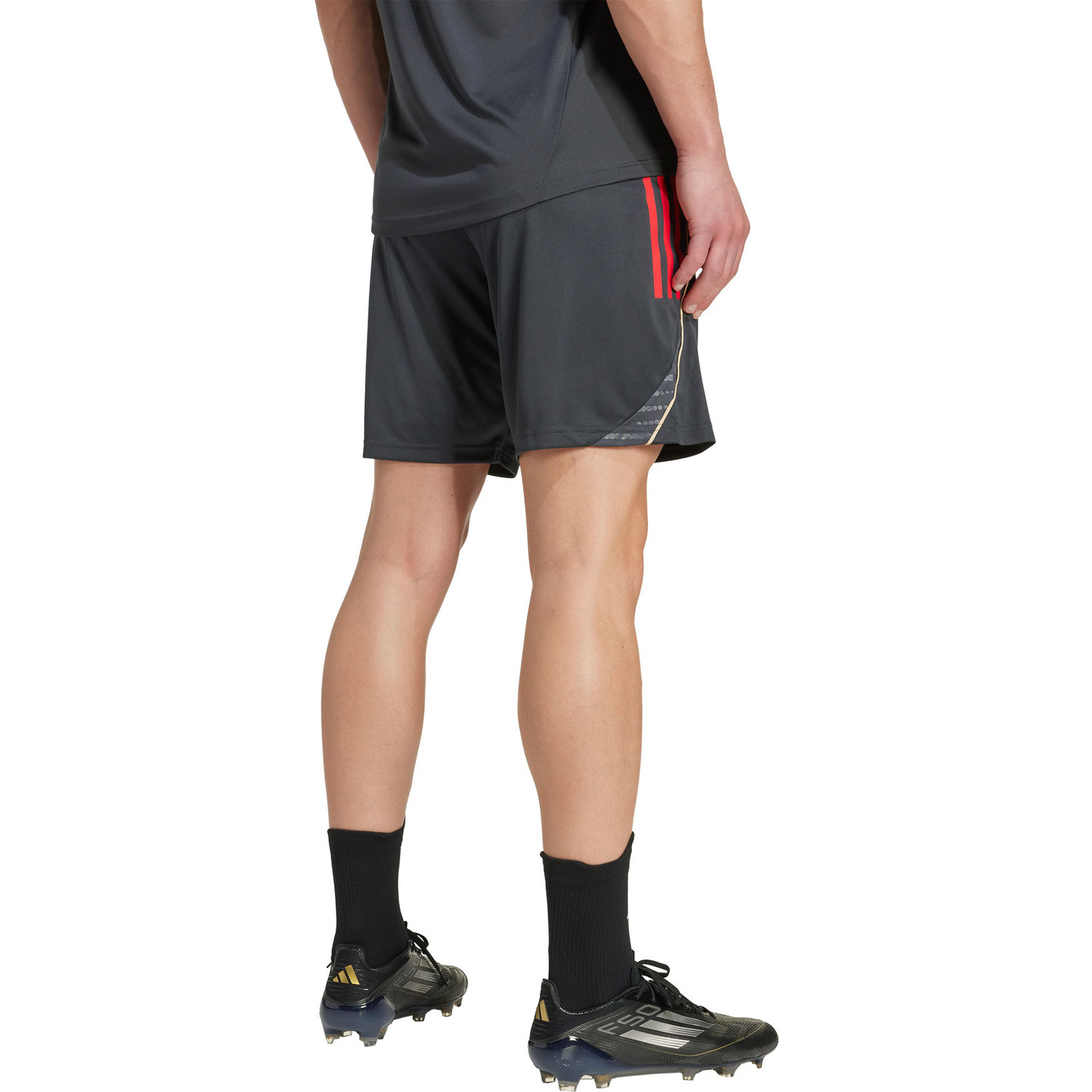 adidas Olympique Lyon Trainingsset