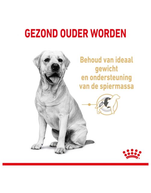 Royal Canin Labrador Retriever Adult 5+ - Hondenvoer