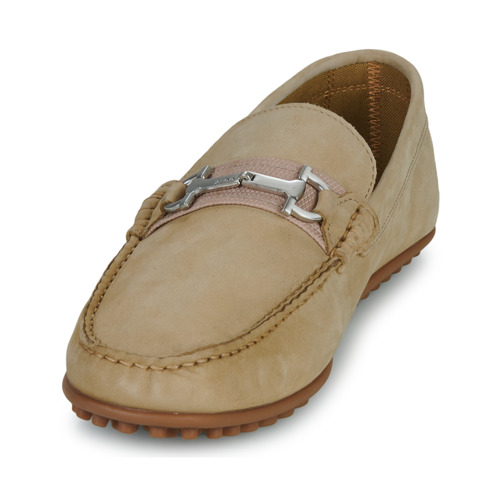 Aldo - SCUDERIA - Beige