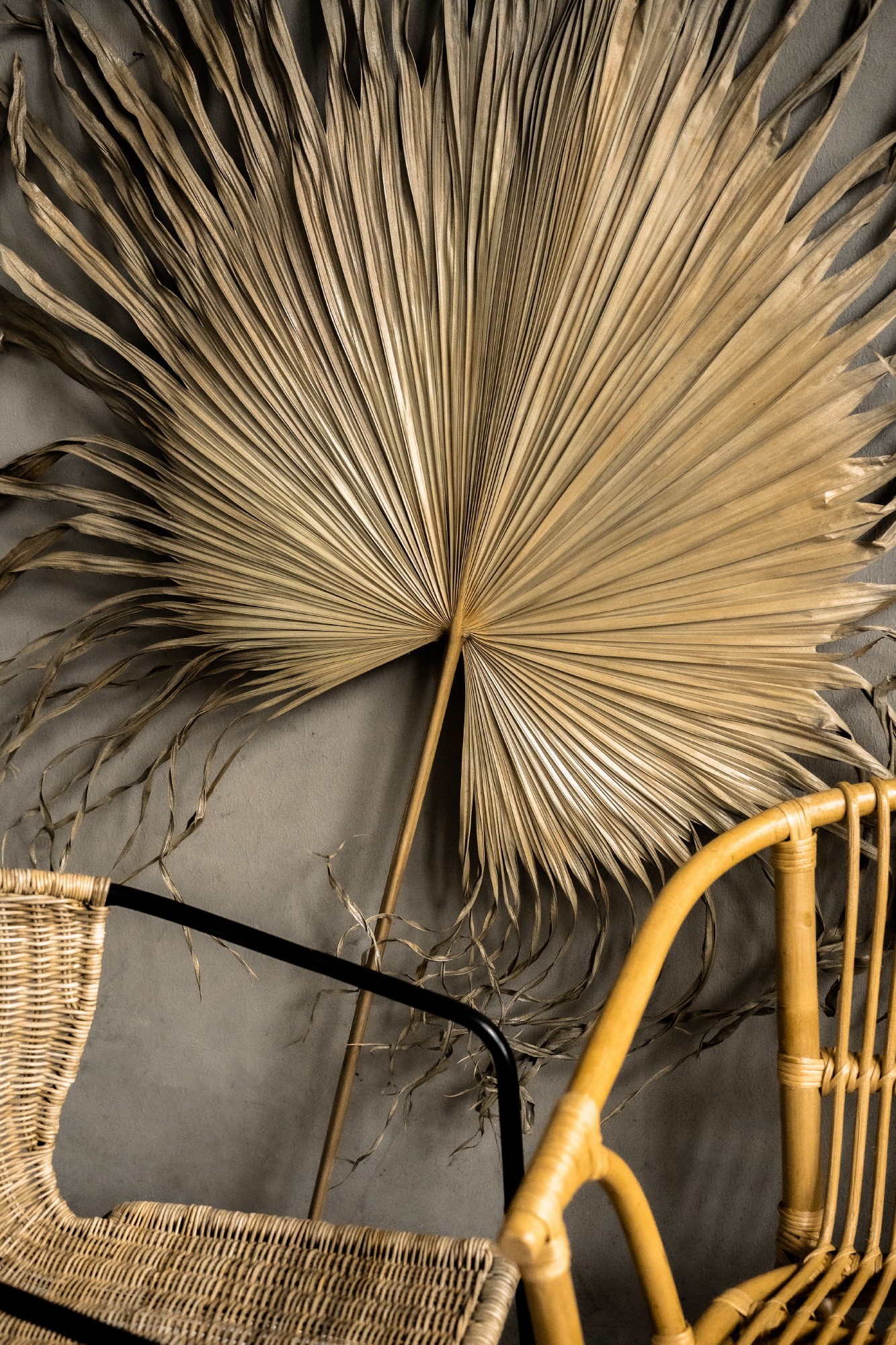 Palmenblatt natur, H 120 cm, B 60 cm von fischer's lagerhaus