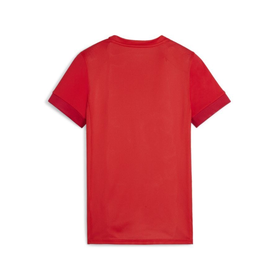 PUMA T-shirt d'Entraînement teamGOAL - Rouge/Blanc Femme
