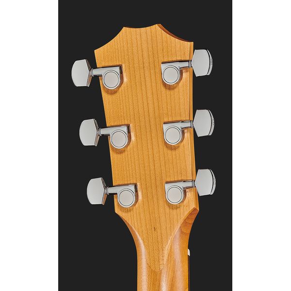 Taylor A10